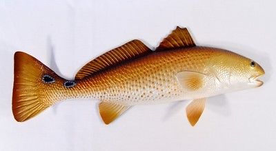 400x219 Hand Painted 28 Redfish Red Drum Fish Wall Mount Decor Sculpture - Red Drum Painting