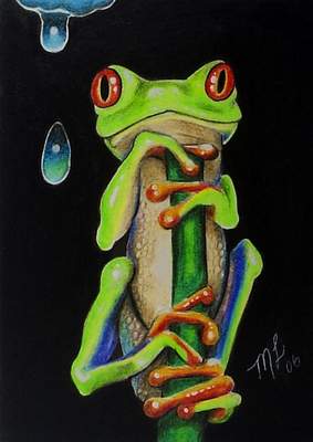 283x400 Red Eyed Tree Frog Aceo 1530 - Red Eyed Tree Frog Painting