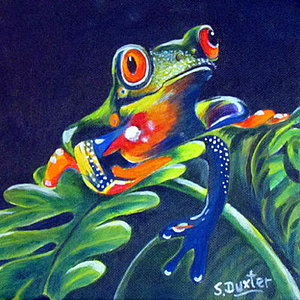 Red Eyed Tree Frog Painting at PaintingValley.com | Explore collection ...