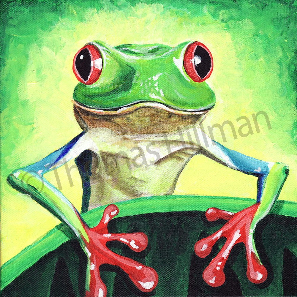 Red Eyed Tree Frog Painting at PaintingValley.com | Explore collection ...