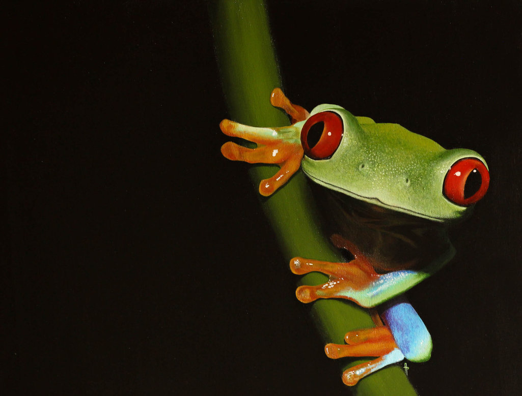 1025x779 Red Eyed Tree Frog. Painting By Li Soro - Red Eyed Tree Frog Painting