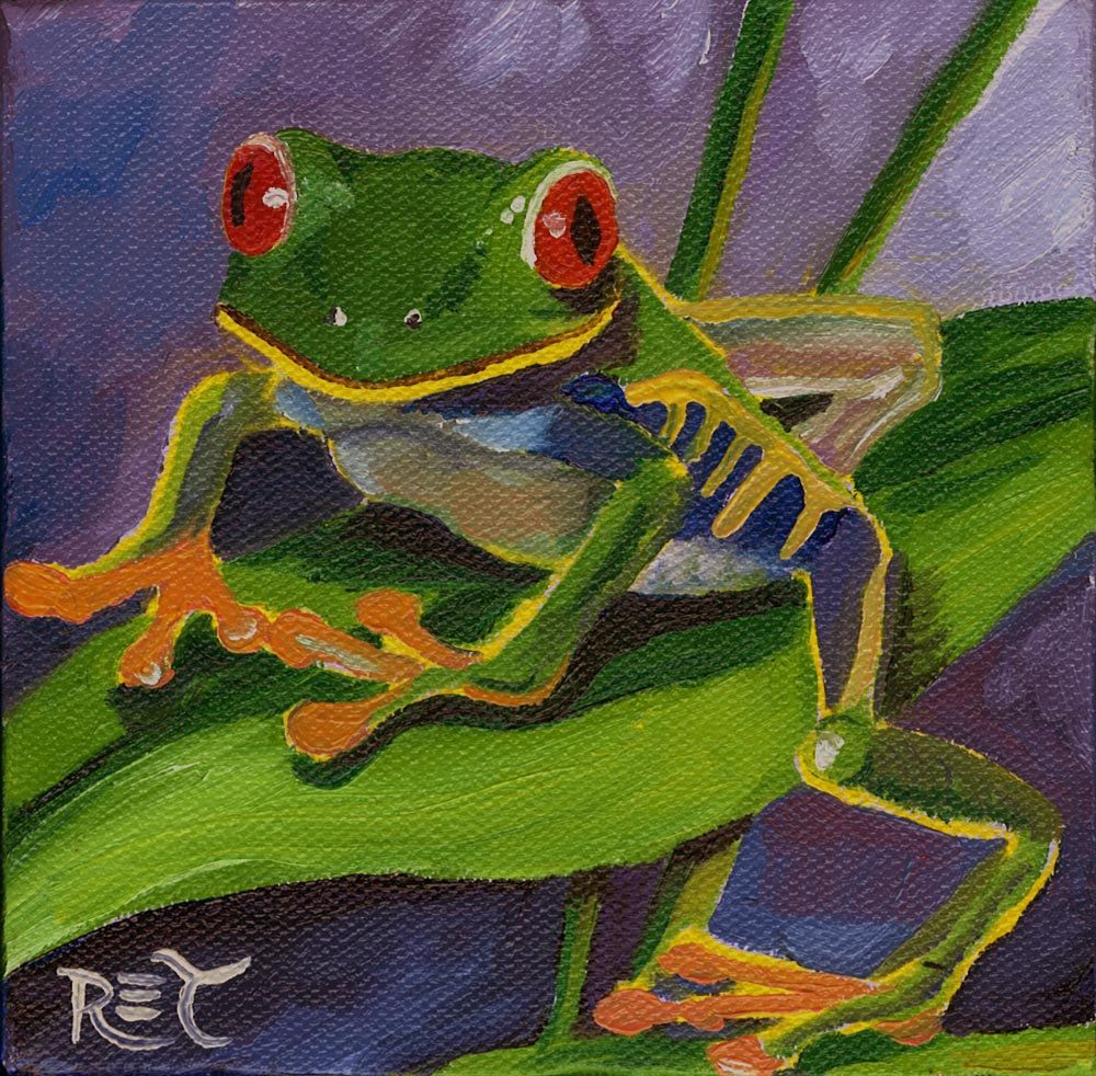 Red Eyed Tree Frog Painting at PaintingValley.com | Explore collection ...