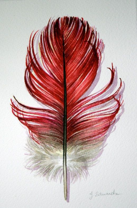 519x788 Pin By Celia Olson On Ravishing Red - Red Feather Painting