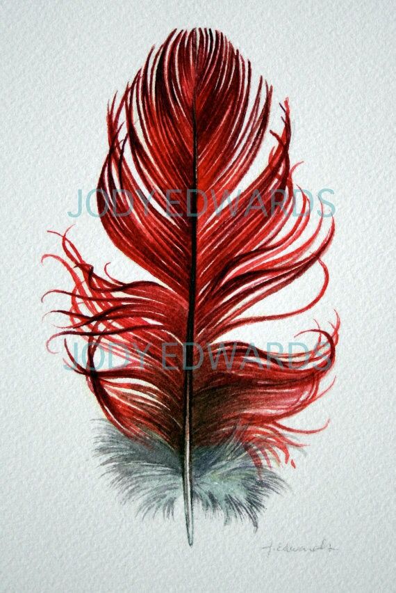 570x852 Pin By Nicole Brunner On Qui Plume La Lune - Red Feather Painting