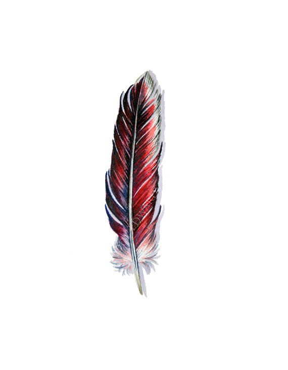 570x732 Red Feather Painting - Red Feather Painting