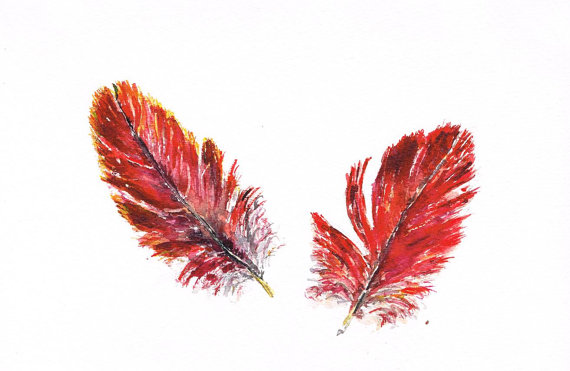 570x371 Feather 4. Macaw Parrot Red Watercolour Painting Original Art - Red Feather Painting
