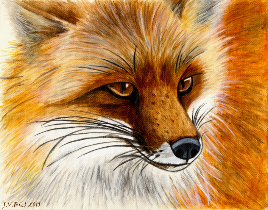 900x704 Red Fox Painting By Catbeast17 - Red Fox Painting