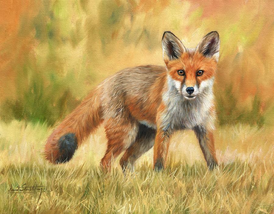 900x702 Red Fox Painting By David Stribbling - Red Fox Painting