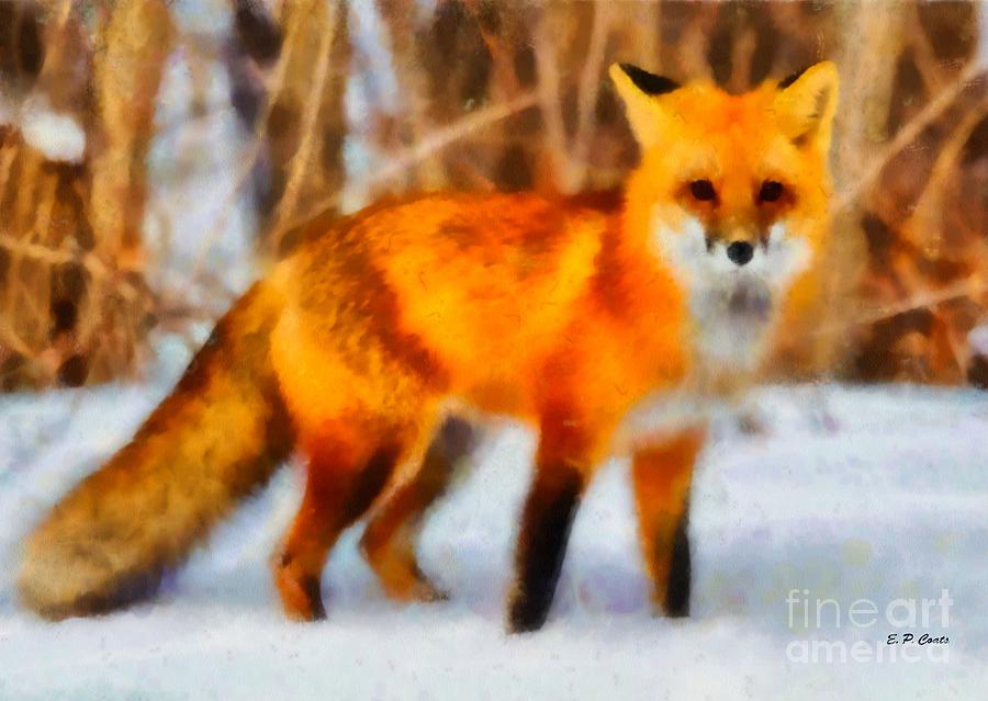 900x639 Red Fox Painting By Elizabeth Coats - Red Fox Painting