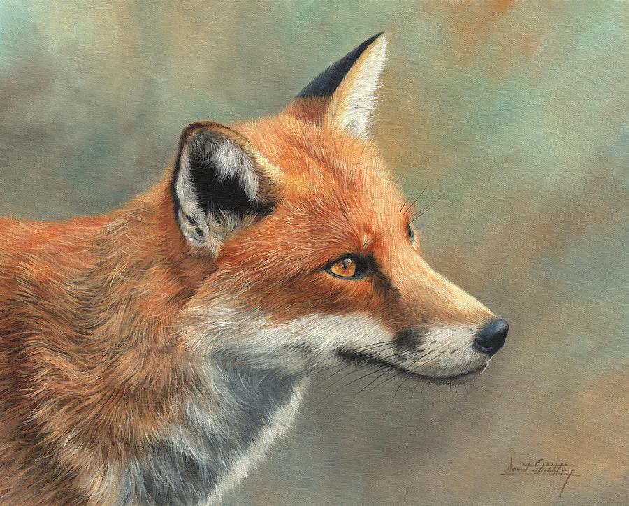 900x724 Red Fox Portrait Painting By David Stribbling - Red Fox Painting