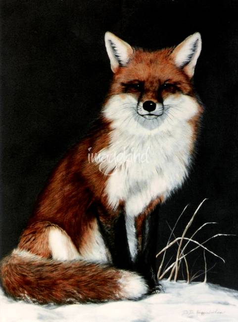 481x650 Stunning Red Fox Painting Artwork For Sale On Fine Art Prints - Red Fox Painting