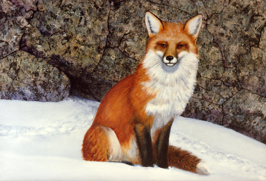 900x612 The Wait Red Fox Painting By Frank Wilson - Red Fox Painting