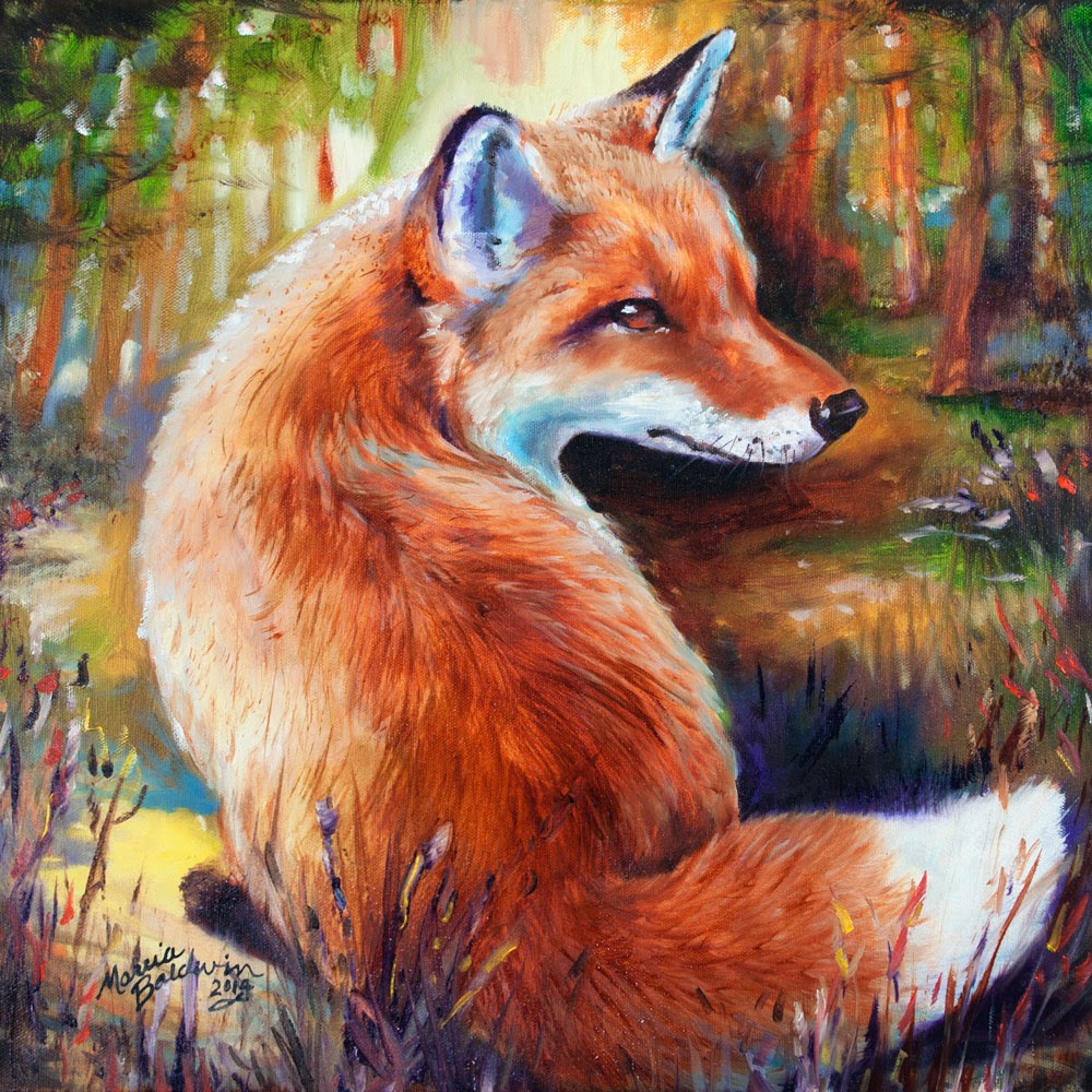 1000x1000 Daily Paintings ~ Fine Art Originals By Marcia Baldwin Red Fox - Red Fox Painting