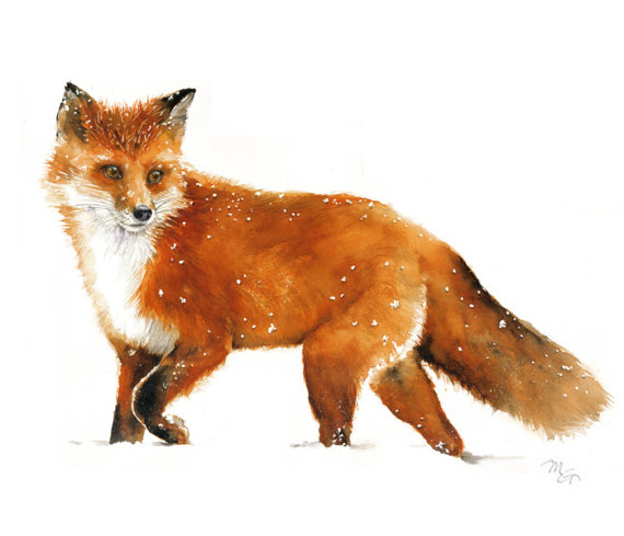 570x489 Fox Watercolor Giclee Print Woodland Red Fox Painting Fox - Red Fox Painting