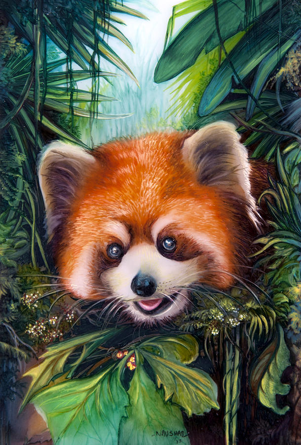 Red Panda Painting at PaintingValley.com | Explore collection of Red ...