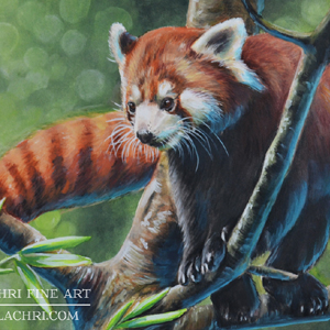 300x300 Red Panda Painting With Inktense - Red Panda Painting