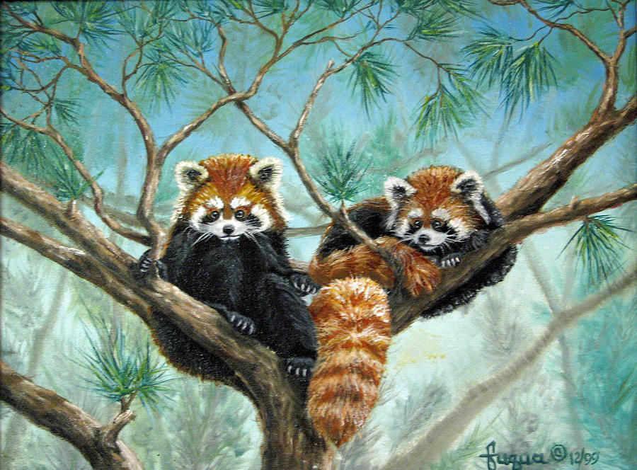 900x664 Red Pandas Painting By Beverly Fuqua - Red Panda Painting