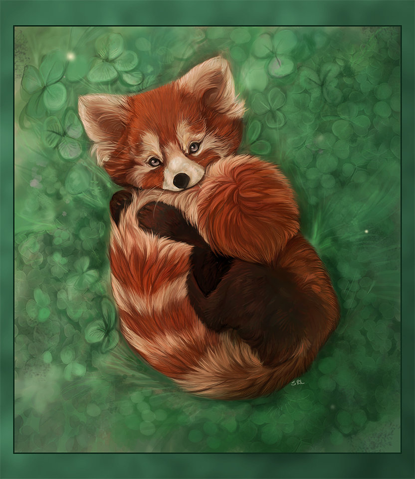 832x960 Sop Entry Red Panda By Daisy7 - Red Panda Painting