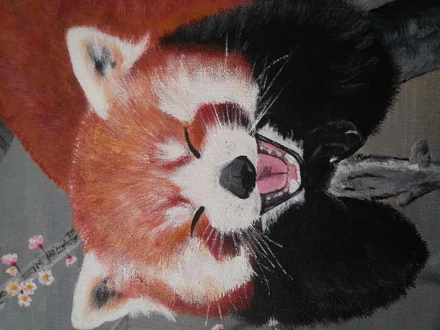 640x480 Tina Beck Artwork Red Panda Original Painting Acrylic Animals Art - Red Panda Painting