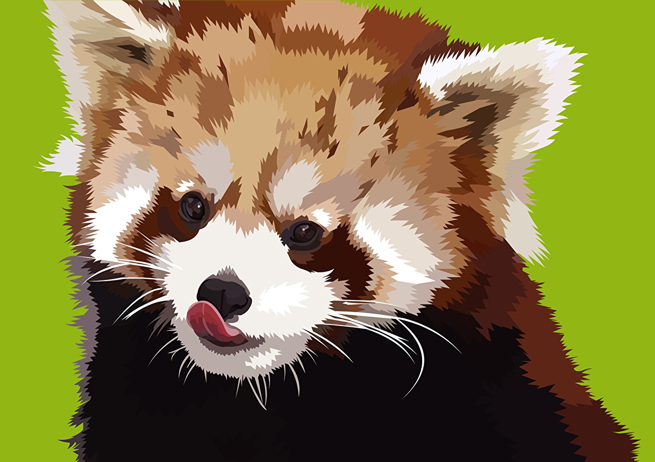 1280x904 Photo Red Panda Animals Painting Art Vector Graphics - Red Panda Painting