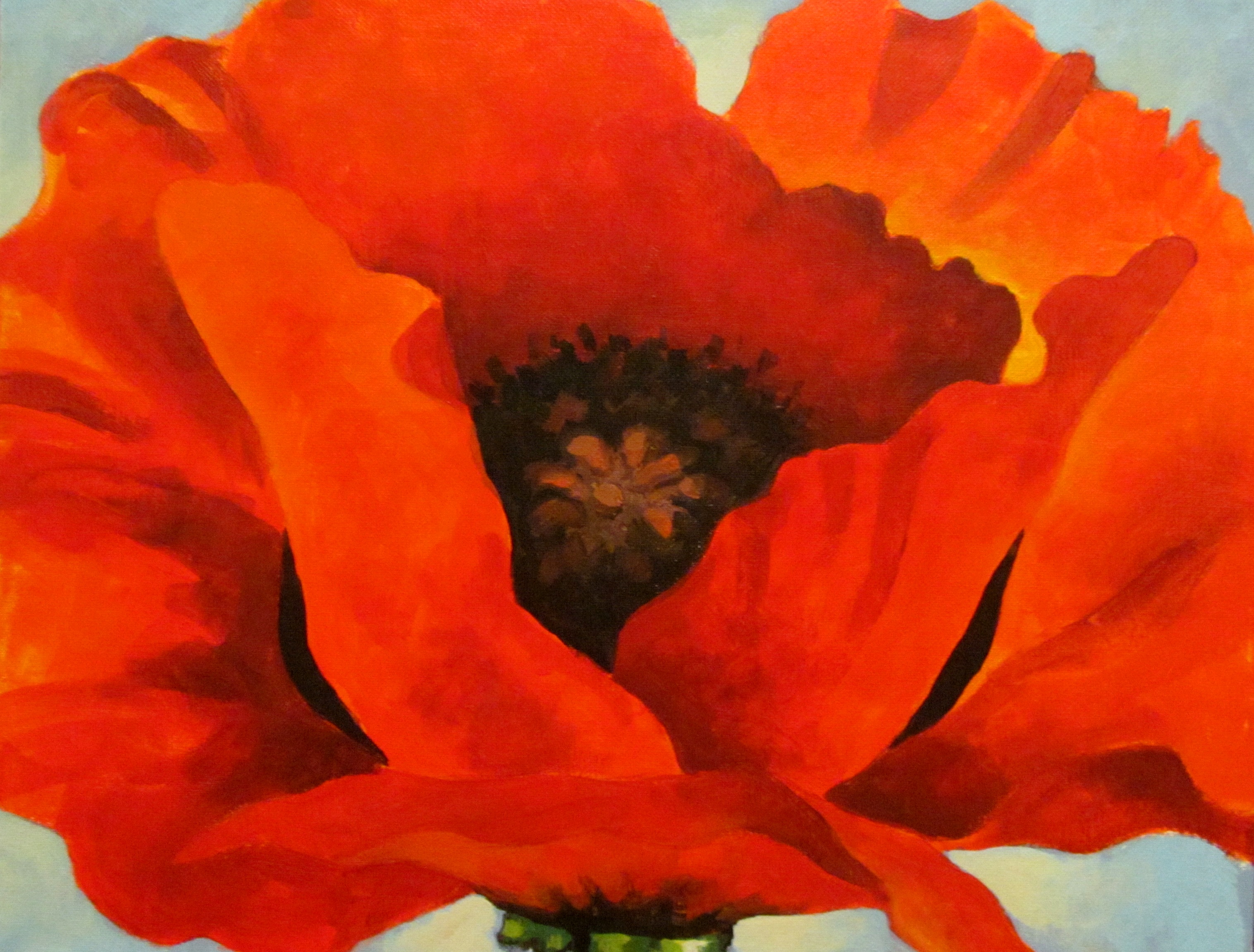 3033x2304 Georgia O'Keefe's Red Poppy Visarts - Red Poppy Flower Painting
