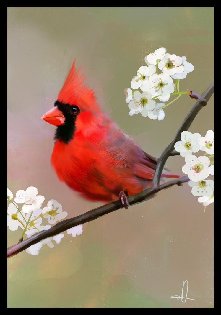 748x1068 Red Robin + Speed Painting Video By Nataliebeth - Red Robin Painting