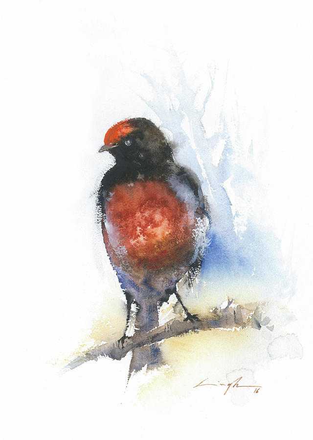 640x900 Red Robin Bird Watercolor Print Bird Art Painting By Nitin Singh - Red Robin Painting