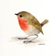 236x236 Sand Pipers Set Of Two Art Prints Signed By By K9artgallery - Red Robin Painting