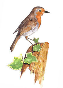 215x300 Unique, Signed, Red Robin Painting Art Happy Birthday Card By - Red Robin Painting