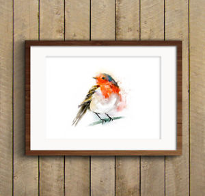 300x287 Will Elliston Red Robin Watercolour Print Of Original Painting - Red Robin Painting