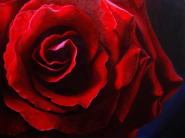 Red Rose Oil Painting