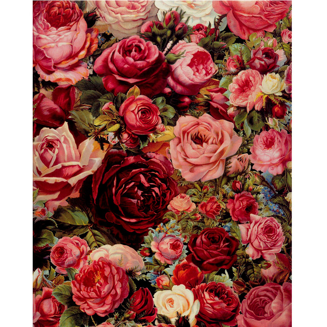 640x640 Modern Canvas Red Rose Oil Painting By Numbers Diy Hand Painted - Red Rose Oil Painting