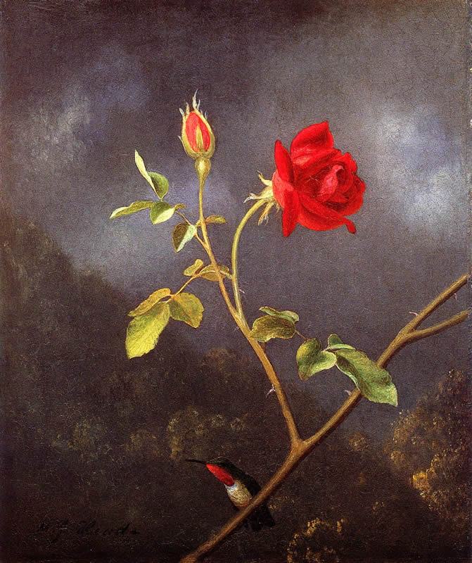 671x800 Martin Johnson Heade Red Rose With Ruby Throat Painting Framed - Red Rose Painting