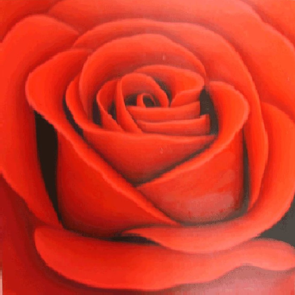980x980 Red Rose Painting - Red Rose Painting