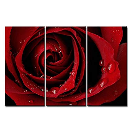 425x425 Canvas Print Wall Art Painting For Home Decor Front - Red Rose Painting