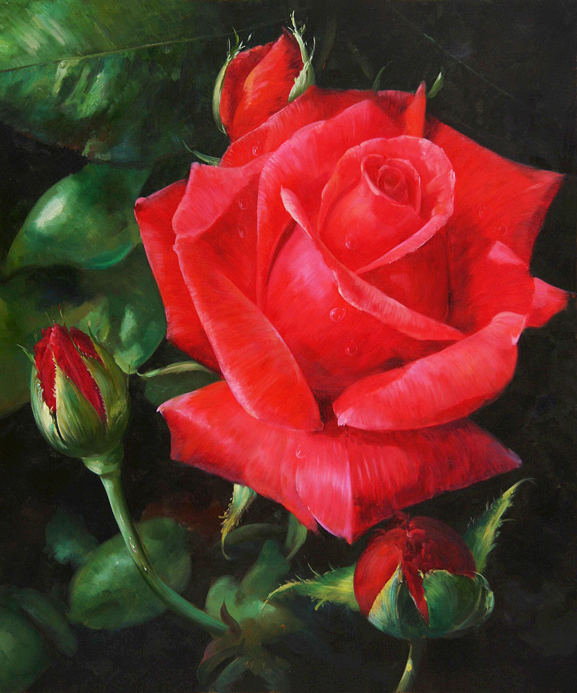 833x1000 Red Rose Flower Painting - Red Rose Painting