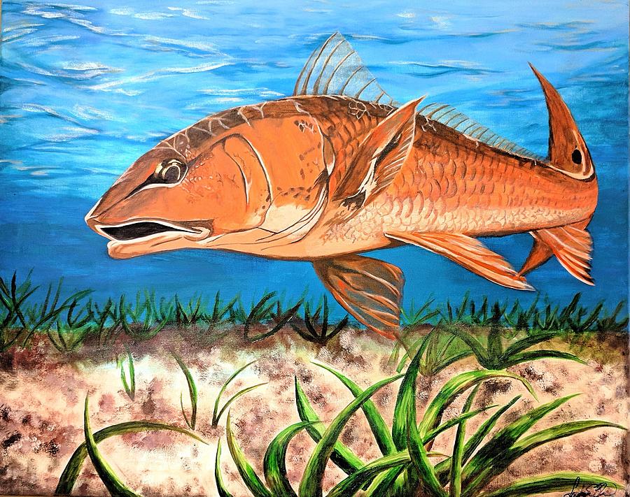 900x711 Red Snapper Painting By Stephanie Brown - Red Snapper Painting