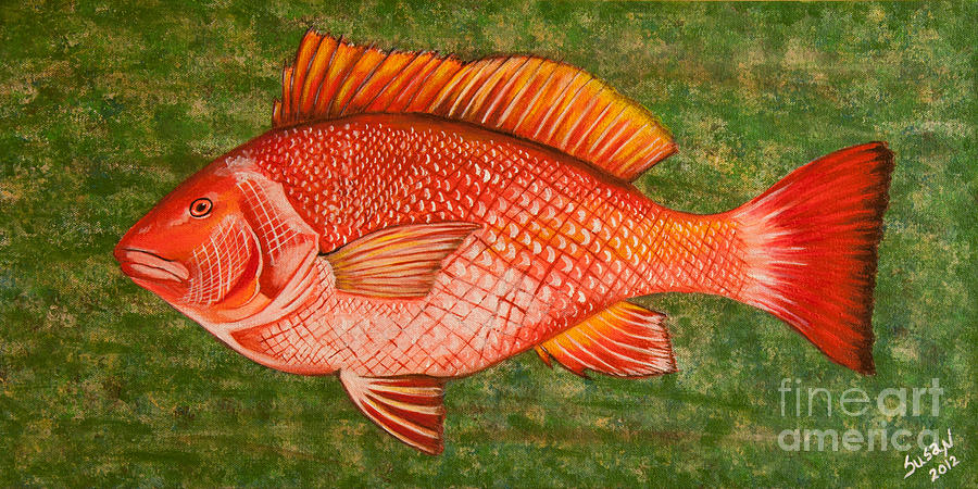 900x450 Red Snapper Painting By Susan Cliett - Red Snapper Painting