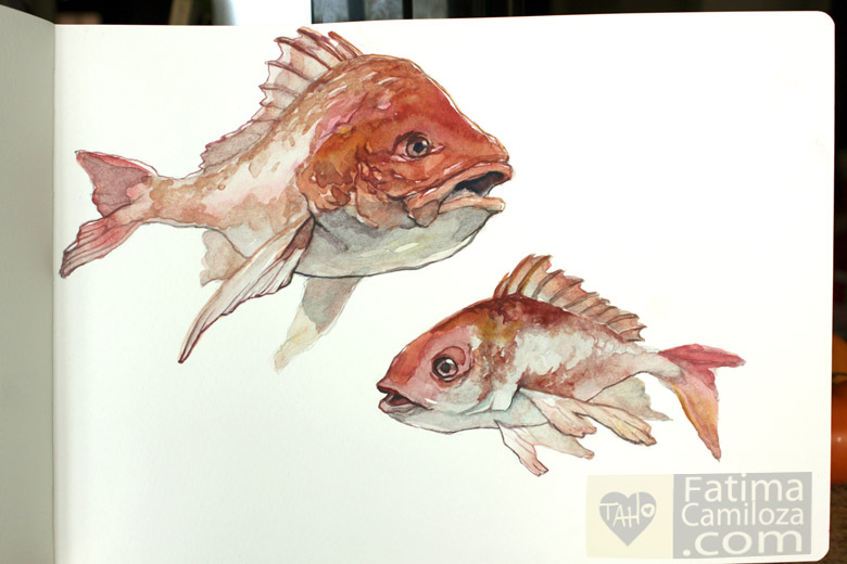 780x520 Red Snapper Watercolor By Taho - Red Snapper Painting