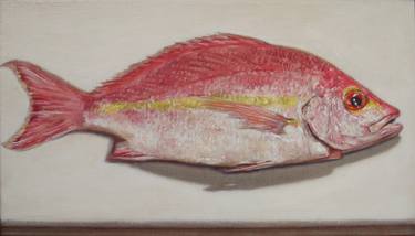 375x214 Saatchi Art Snapper Painting By Andy Swani - Red Snapper Painting