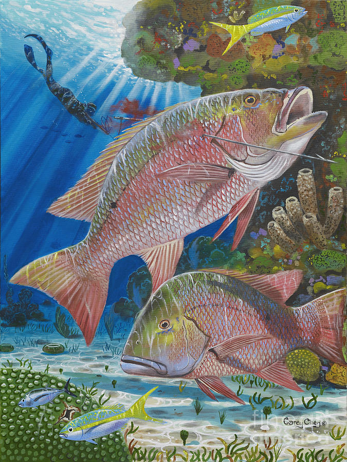 675x900 Snapper Spear Painting By Carey Chen - Red Snapper Painting