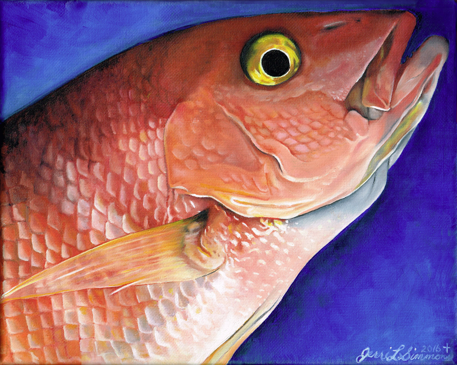 1500x1200 Yellow Eye Snapper - Red Snapper Painting