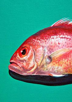 236x332 Fish07 1.jpg Project Fish Painting - Red Snapper Painting