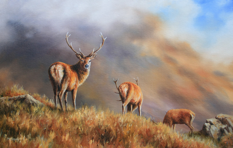 800x510 Martyn Brook Art - Red Stag Painting