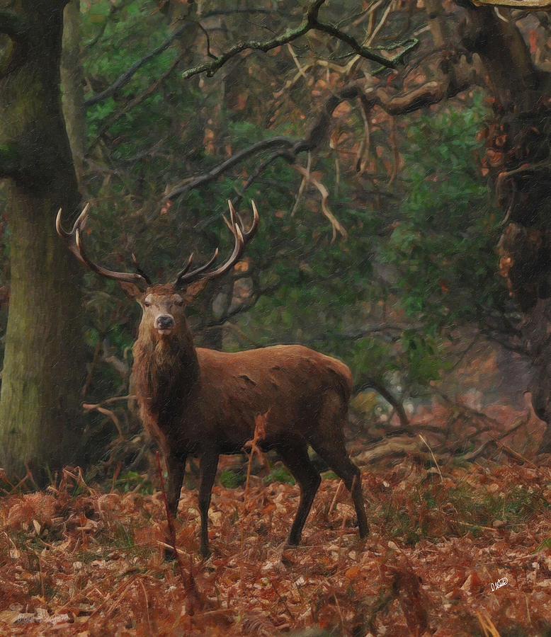 778x900 Proud Red Stag In Forest Painting By Dean Wittle - Red Stag Painting