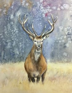 233x300 Red Stag' Wildlifenimalrt Original Watercolour Painting - Red Stag Painting