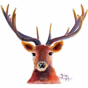 300x300 Stag Deer Roe Prints Of Original Watercolour Painting The Red Stag - Red Stag Painting