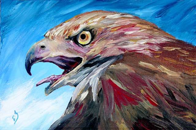 640x424 Red Tailed Hawk - Red Tailed Hawk Painting