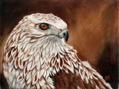 400x300 Red Tailed Hawk ~ Painting By Artist Barbara Ann Robertson Art - Red Tailed Hawk Painting