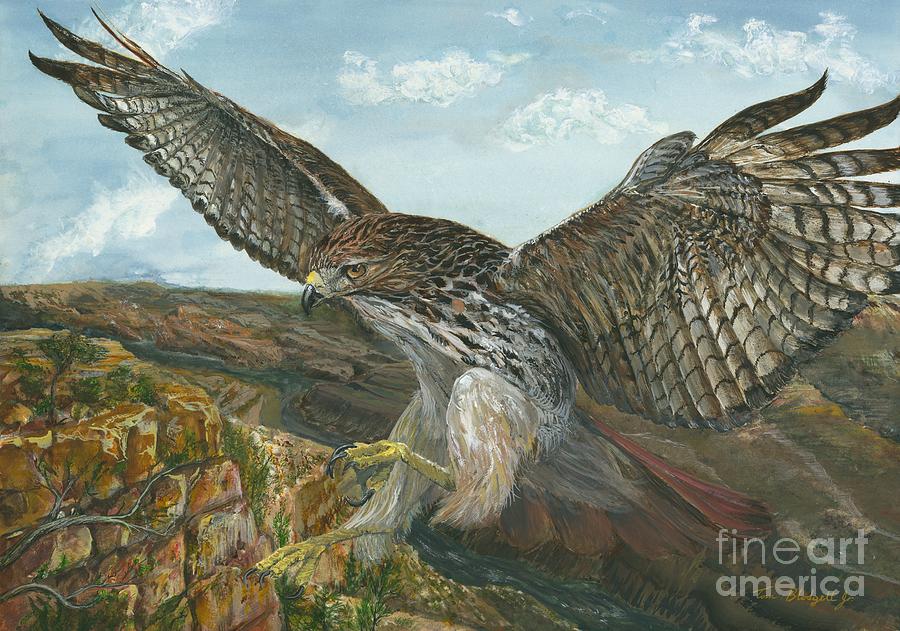 900x631 Red Tailed Hawk Painting By Tom Blodgett Jr - Red Tailed Hawk Painting